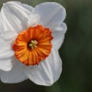 신화 행정사 사무소 이미지