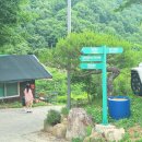 대구애견파크농장 | 대구 가창 애견동반카페 : 산뷰 야외정원 잔디에 BBQ까지 주리485 브런치 후기