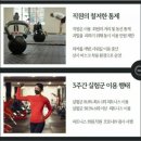 머슬앤라인 이미지