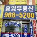 신덕공인중개사사무소 이미지
