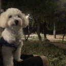 냉큼, 오레오 이미지