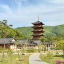 사명대사공원 잔디광장 이미지