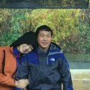 자연과숲 - 15251 | 자연과숲