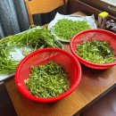 대학당약국 | 대구 삼덕동 점심맛집 / 대구 노포 감성술집 / &#39;아제&#39; 미나리 닭곰탕 솔직후기