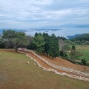 영남축산 이미지