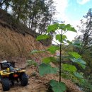 오동슈퍼 이미지