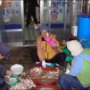 만선밴댕이 이미지