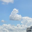 GS25신북산천점 | 여름 🌞 감기는 개 🐶 도 안 걸린다던데..