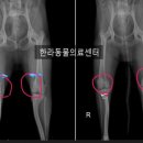 길종합동물병원 이미지