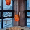 빨간모자달팽이 이미지