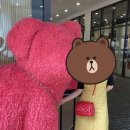 현대D&G
