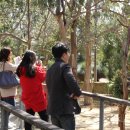 퍼스트피시카페 이미지