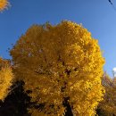 옥포운동장 이미지