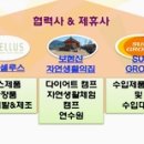 (주)에이치비티 네이버블로그