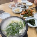 통영참복 | 통영 해장 맛집🔥 현지인이 추천한 풍만복국 솔직 후기 (참복지리 vs 졸복지리)