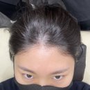하프톤 스칼프 네이버블로그