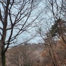 봉학사 | [충북][괴산] 봉학사지 오층석탑, 우물, 석등 부재, 돌확, 기초석, 석축, 김참판 묘, 용궁기도터
