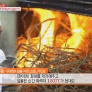 무태스포츠 이미지