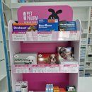 가까운세종충대약국 이미지