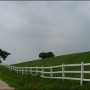 푸른비목장 이미지