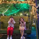 자유인의 카라반 이미지