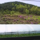 박곡농장 이미지