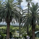 담우스테이 애월 | [25.08.14~08.16] 제주 서쪽 우정 여행 / 우니담 / 어음리 사진관 / 판포포구 숙소 / 스테이포 / 짚불도...