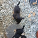 계봉농장 이미지