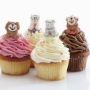 순수 동물병원 이미지