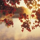 김정철한의원 이미지