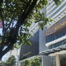 신퍼피클럽 동물병원 | 나트랑 시내 가성비 호텔 버고호텔 디럭스 시티뷰 내돈내산 솔직 후기