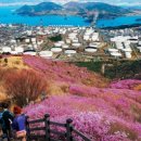 뚱땡이네 이미지