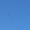 속초사잇길 제5길 이미지