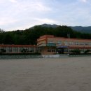 포천 보장초 포천신문