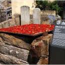 온금동 큰샘과 비군 이미지