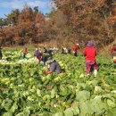 신포농장 이미지