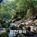 달천계곡 상류 | 창원 달천계곡 발담그기좋은 계곡 아이와 계곡 물고기잡기