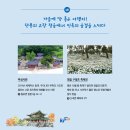 장작불식당 이미지