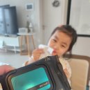 넘버에잇 | 어린이집 물티슈 [델리프 넘버에잇] 세븐카키 휴대캡 물티슈 솔직후기