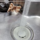 북원상가(2층) 이미지