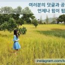까페만권당