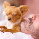 24시프라임동물병원 이미지