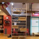 청춘 고양이 카페 | 홍대 실내 데이트 추천, 개냥이 천국 ‘청춘고양이카페’ 후기