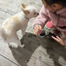 바지선 선상낚시 | 목포 바지선 낚시(목포갈치낚시 포인트낚시)🎣