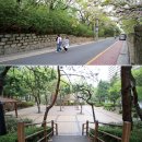 GOTO 청담 이미지