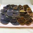 [판매마감]직접 채취한 우리나라 자연산 야생상황버섯을 추석 선물용으로 엄선해 5세트만 판매합니다! 이미지