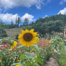 엄마손태백물닭갈비 | 내돈내산 엄마손 태백 물닭갈비 방문 후기