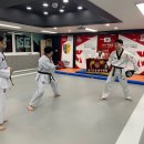 용인대 준 태권도 이미지