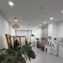 삼대손한의원 이미지