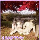 금강목욕탕 이미지